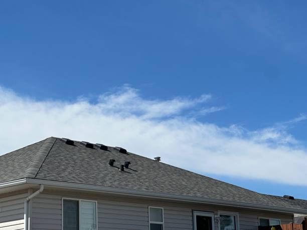 Best Roof Inspection  in Comanche, TX